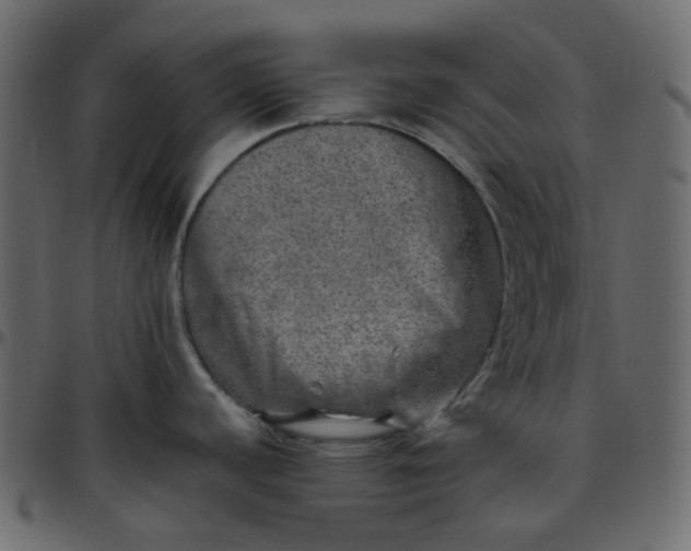 X0000095691440200801221238