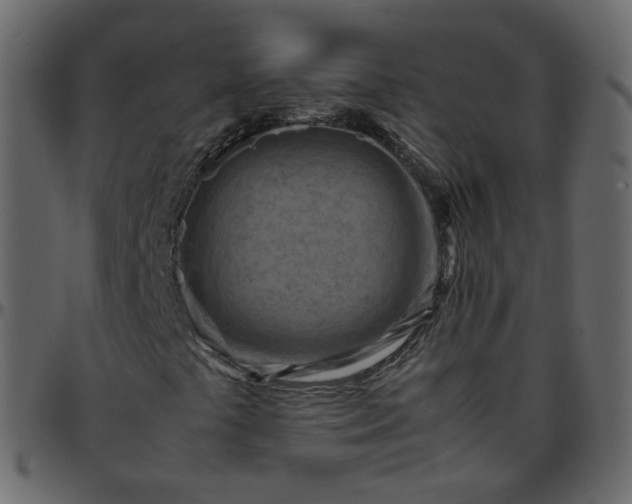 X0000095691441200801221237