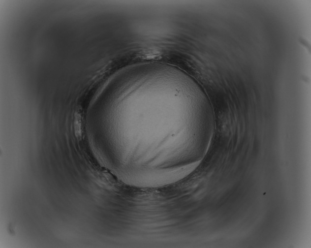 X0000095691442200801221237