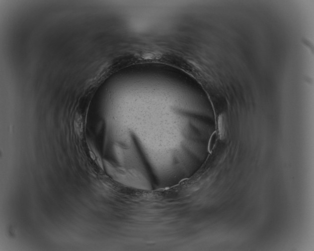 X0000095691443200801221237