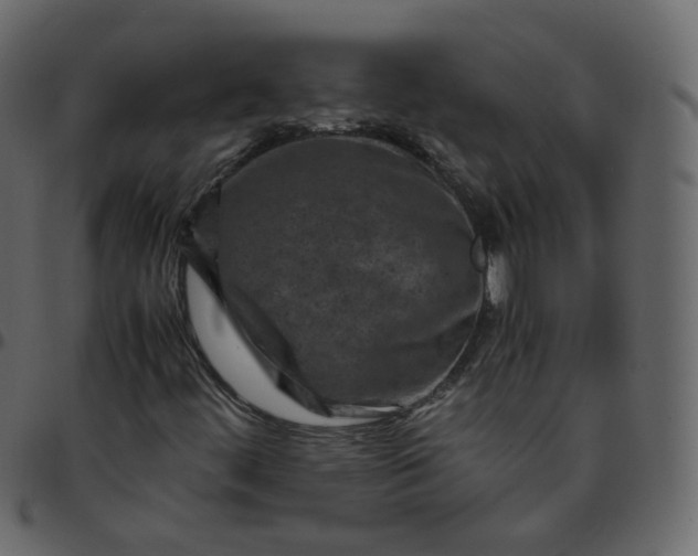 X0000095691444200801221237