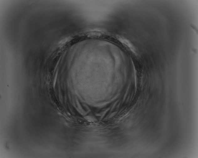 X0000095691445200801221237