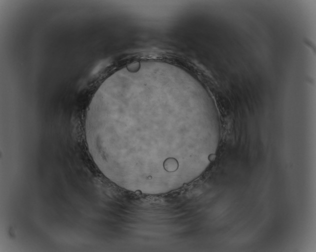 X0000095691446200801221237