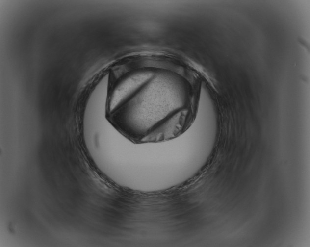 X0000095691448200801221237