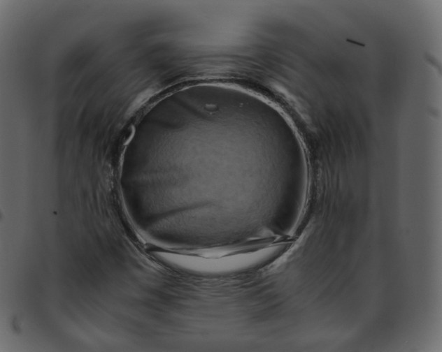 X0000095691449200801221237