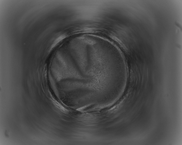 X0000095691450200801221237