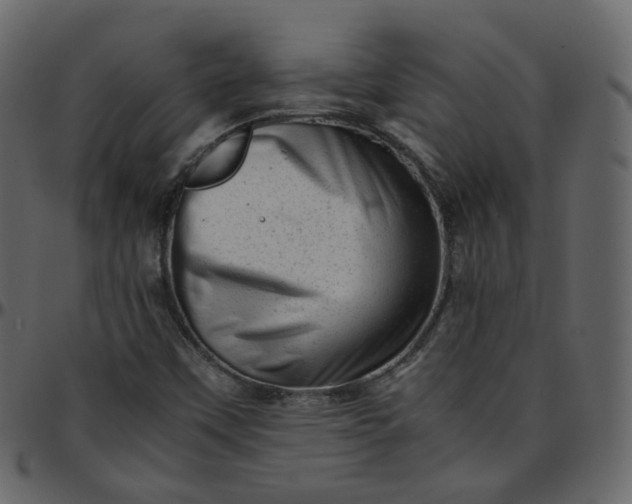 X0000095691451200801221237