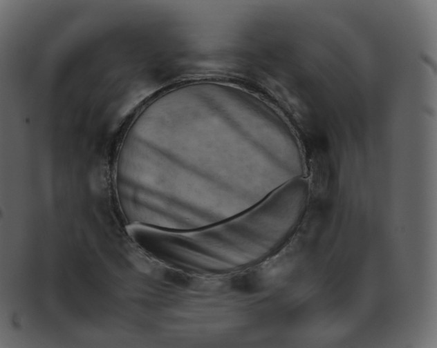 X0000095691453200801221237