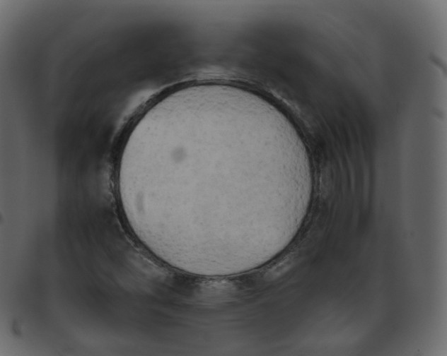 X0000095691454200801221237