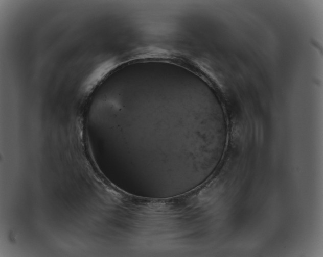 X0000095691455200801221237