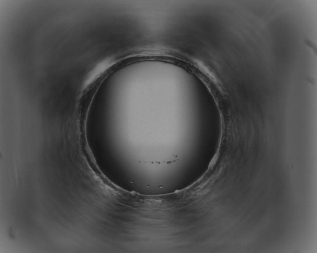 X0000095691456200801221237