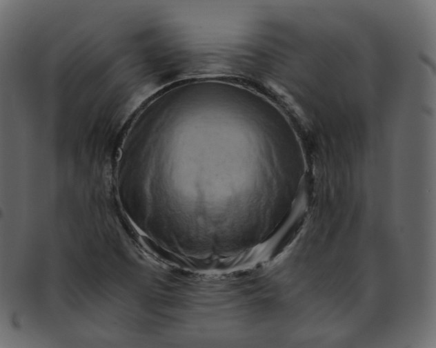 X0000095691457200801221237