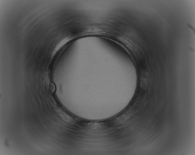 X0000095691458200801221237