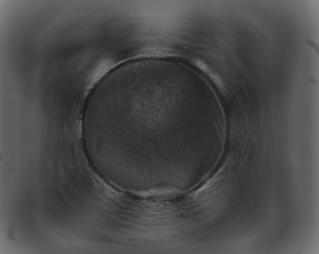 X0000095691459200801221237