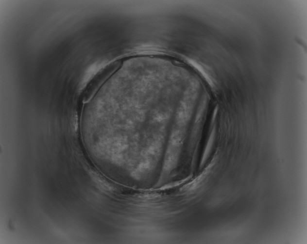 X0000095691461200801221237