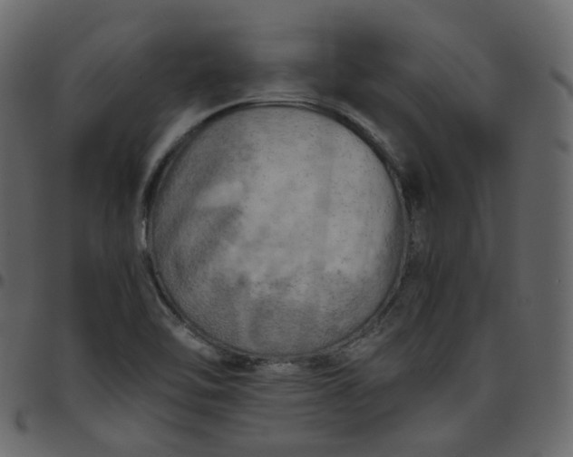 X0000095691462200801221237