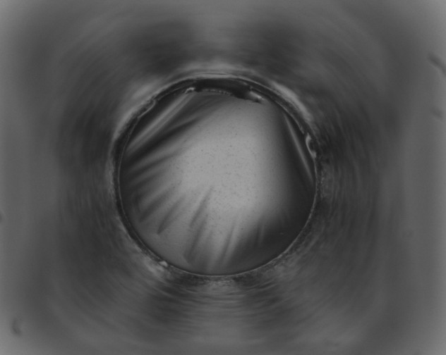 X0000095691464200801221237