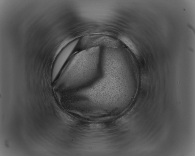 X0000095691465200801221237