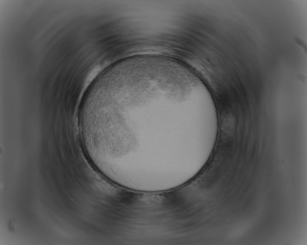 X0000095691466200801221237