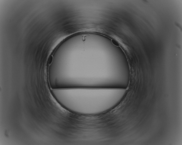 X0000095691468200801221237