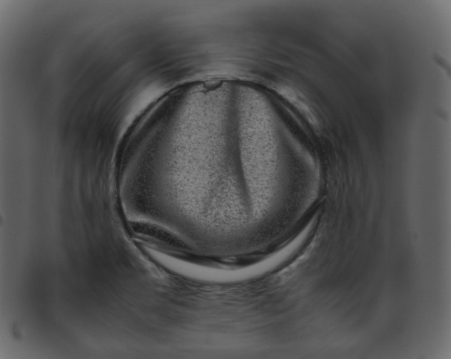 X0000095691469200801221237