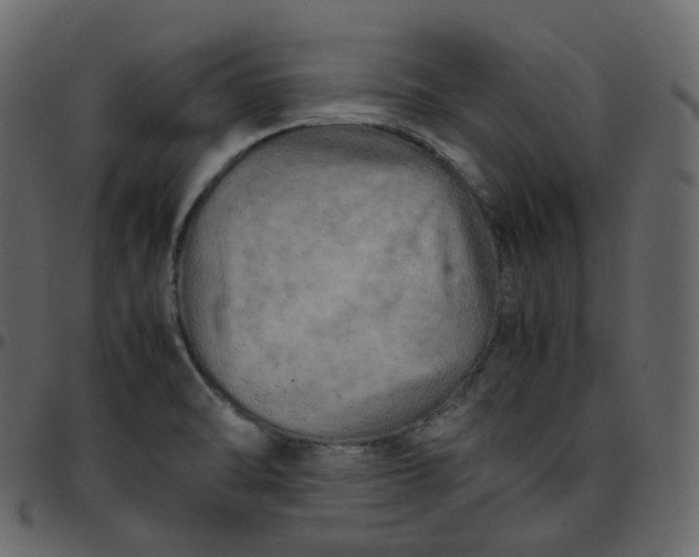 X0000095691470200801221237