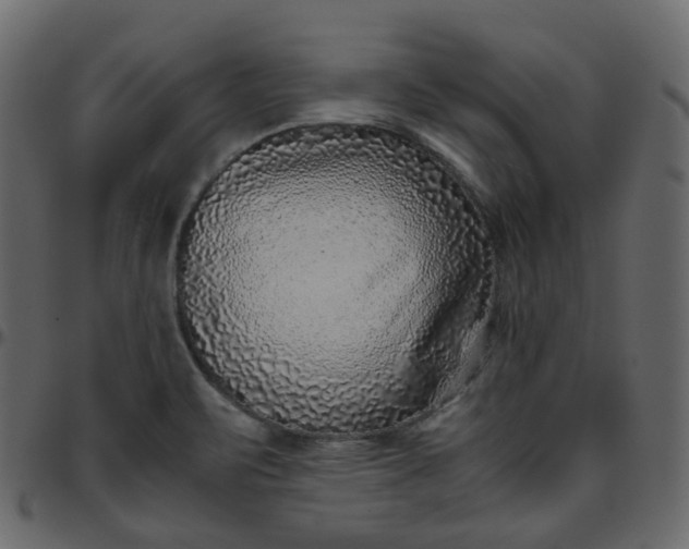 X0000095691471200801221237