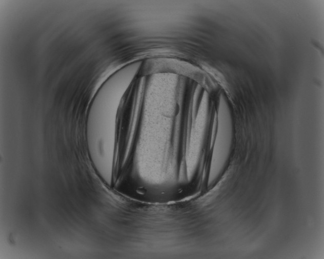 X0000095691473200801221237