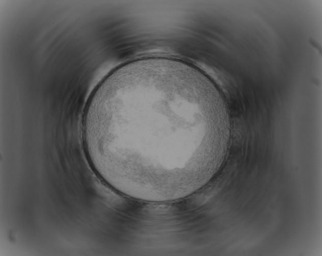 X0000095691474200801221237