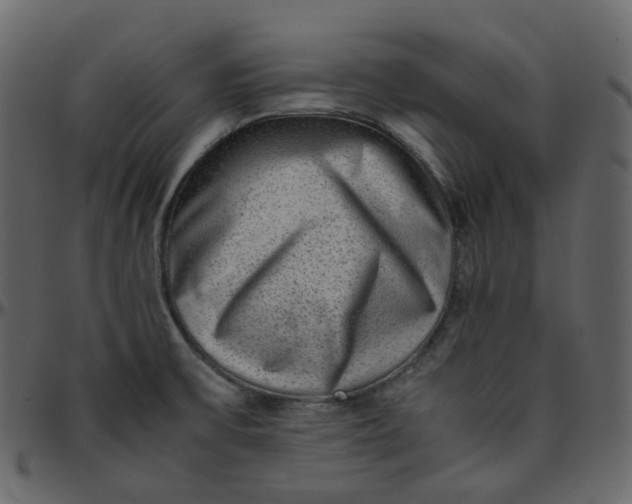 X0000095691475200801221237