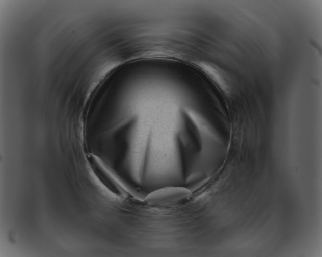 X0000095691476200801221237