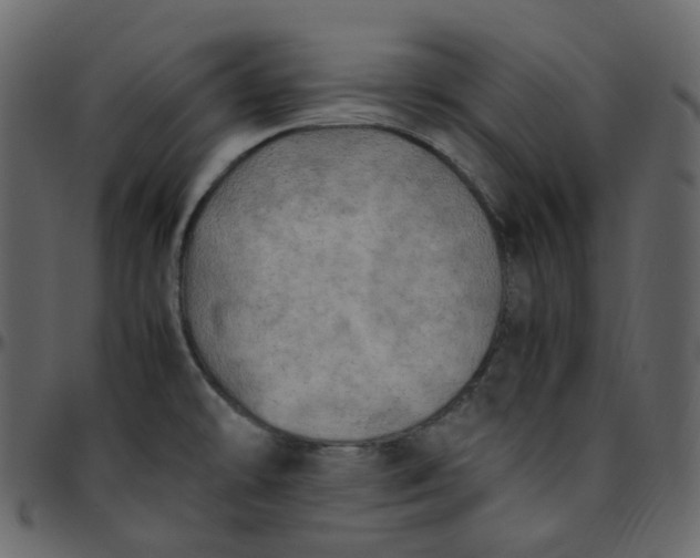 X0000095691478200801221237