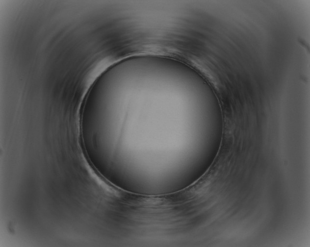 X0000095691479200801221237