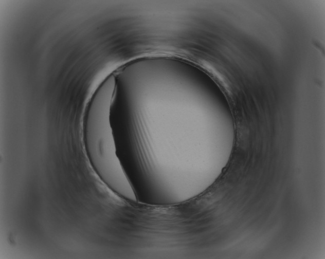 X0000095691480200801221237