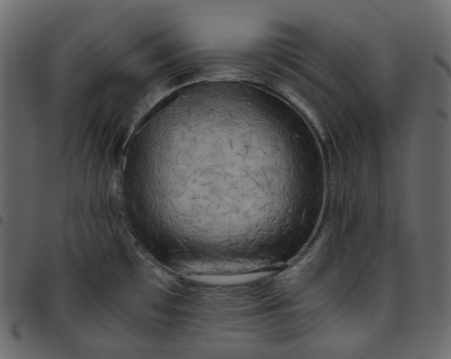 X0000095691481200801221237