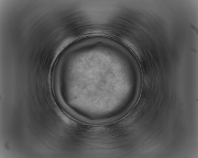 X0000095691482200801221237