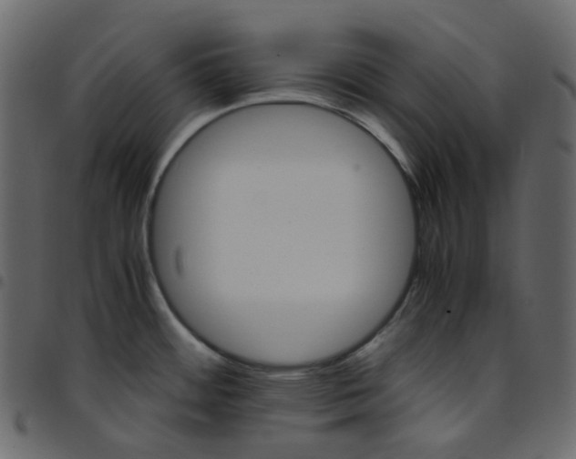 X0000095691484200801221237