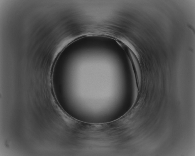 X0000095691485200801221237