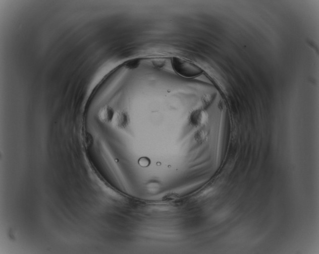 X0000095691486200801221237