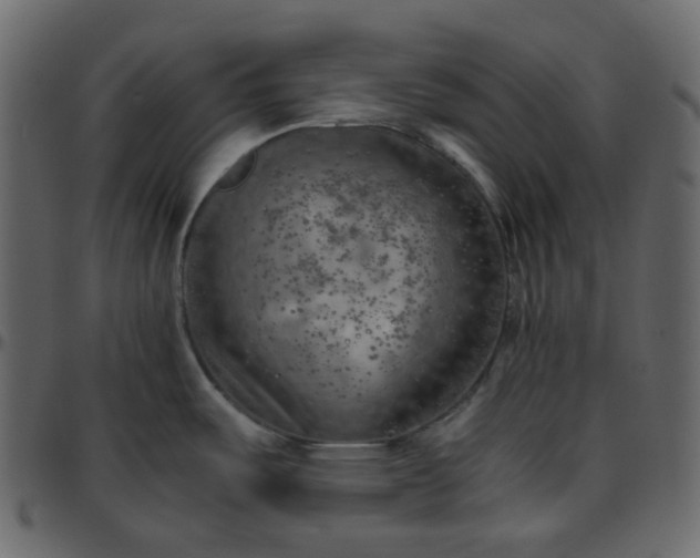 X0000095691487200801221237