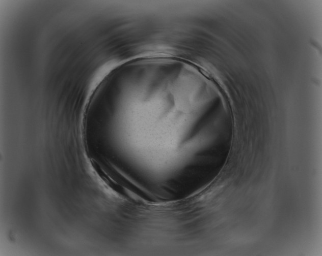 X0000095691488200801221237