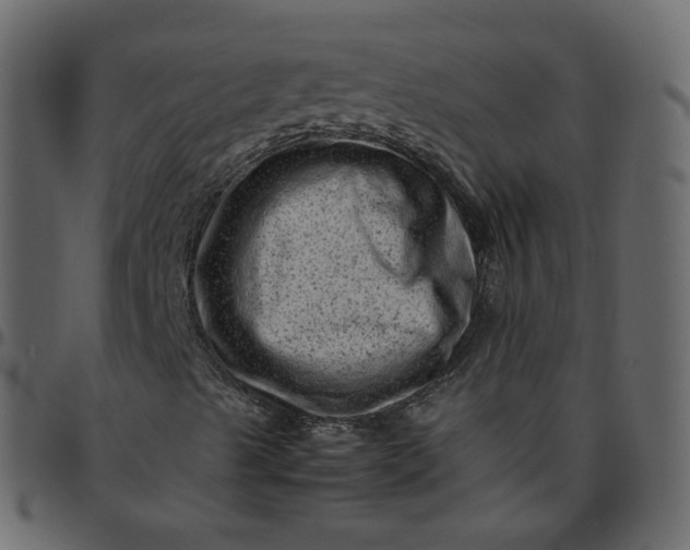 X0000095691489200801221236