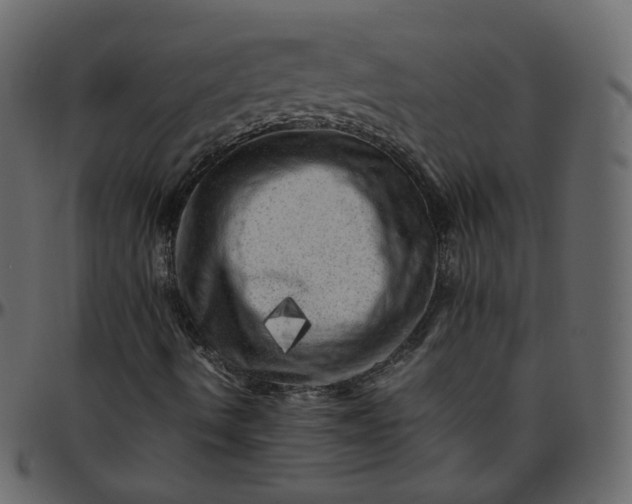 X0000095691490200801221236