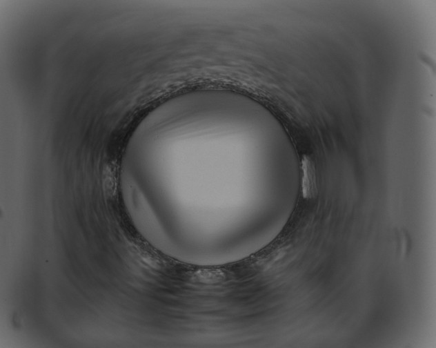 X0000095691491200801221236