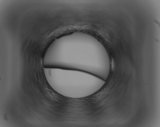 X0000095691492200801221236