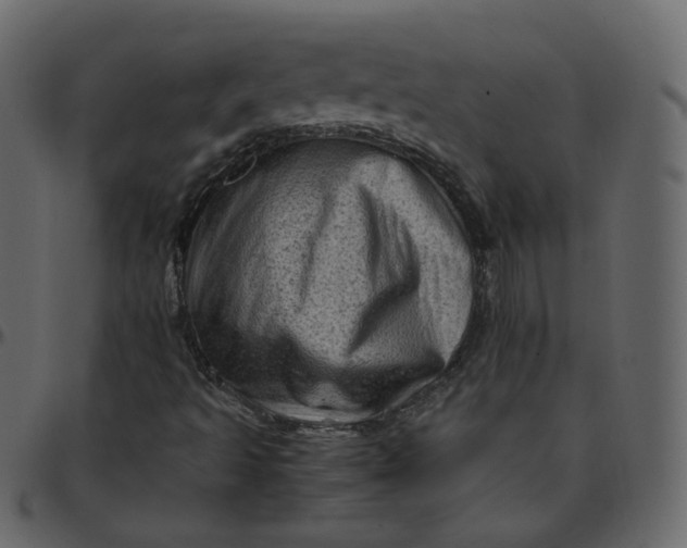 X0000095691493200801221236