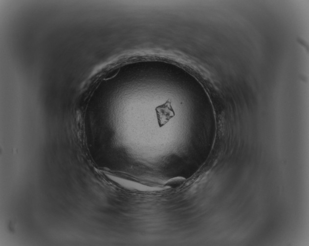 X0000095691494200801221236