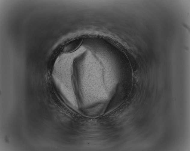 X0000095691495200801221236