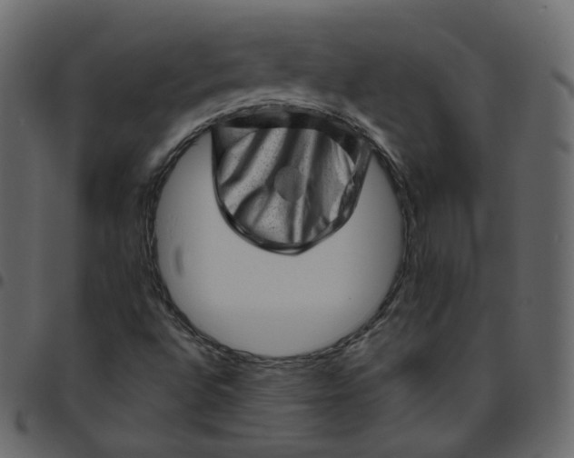 X0000095691496200801221236