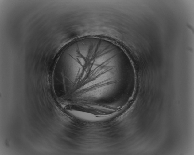 X0000095691497200801221236